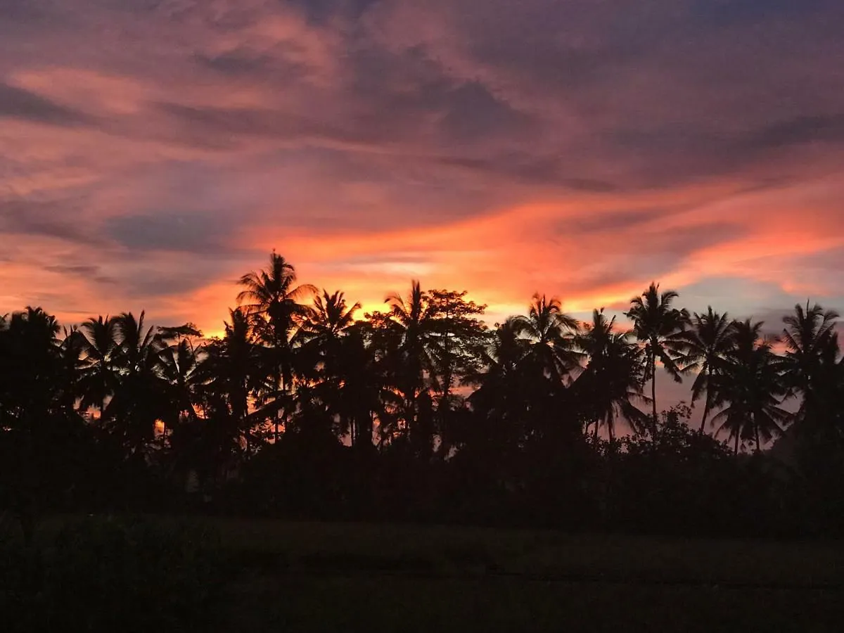 Villa Balinese Ubud  Indonesia